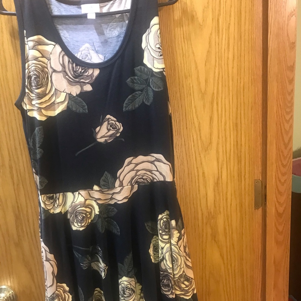 NWOT LuLaRoe large dress